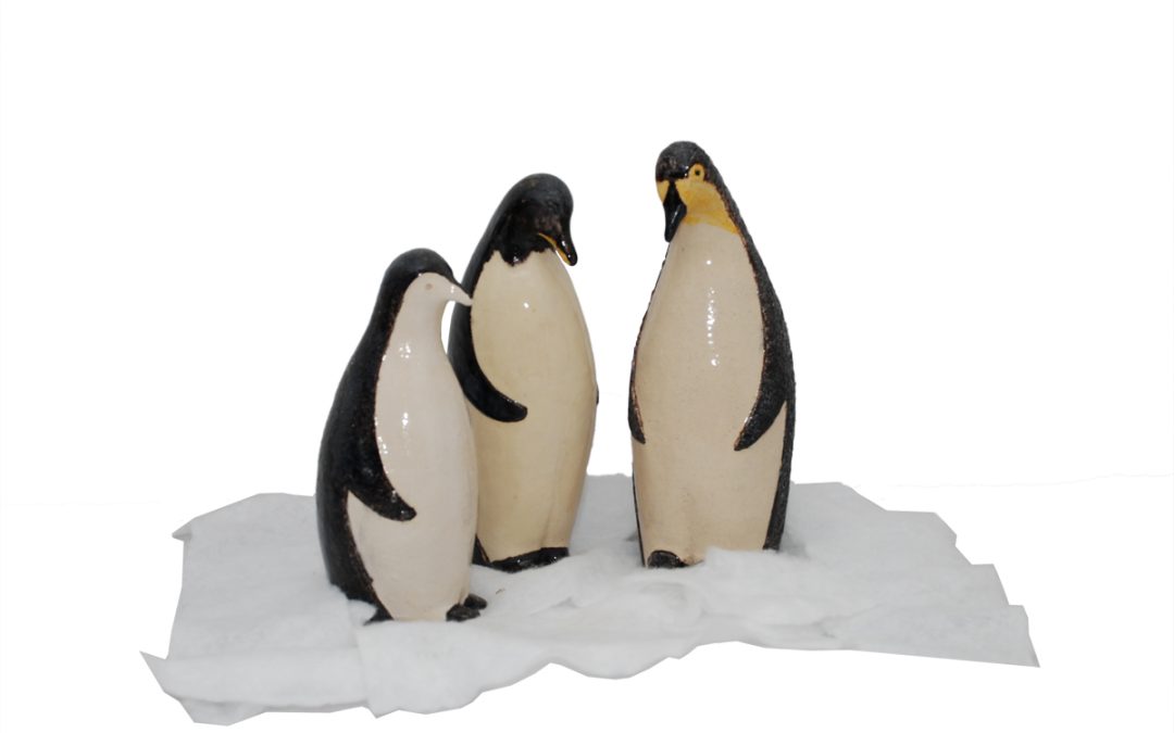 pinguin-2008-dsc_5368